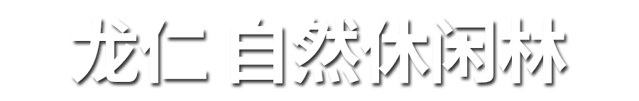 자연휴양림