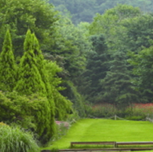 Han Taek Botanical Garden